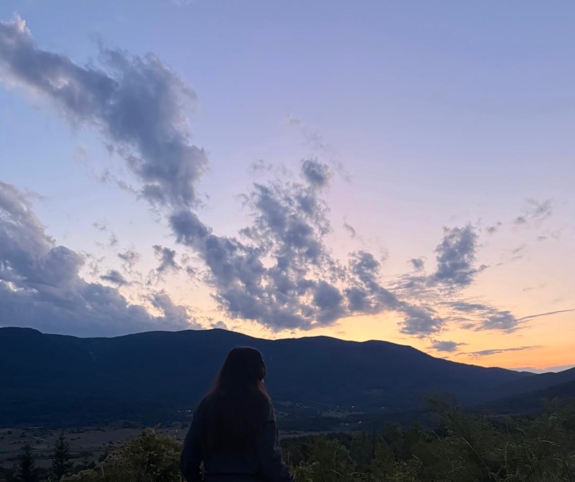 milicasavatovic2@gmail.com