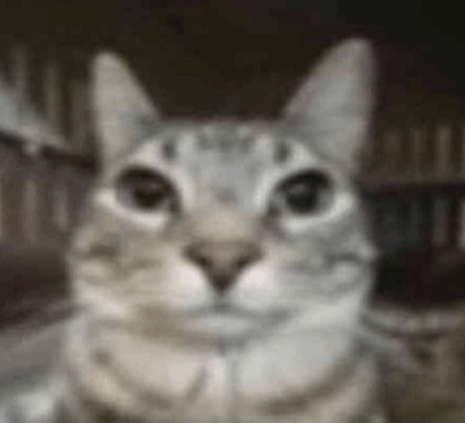 bbuchanan@ftstudent.org