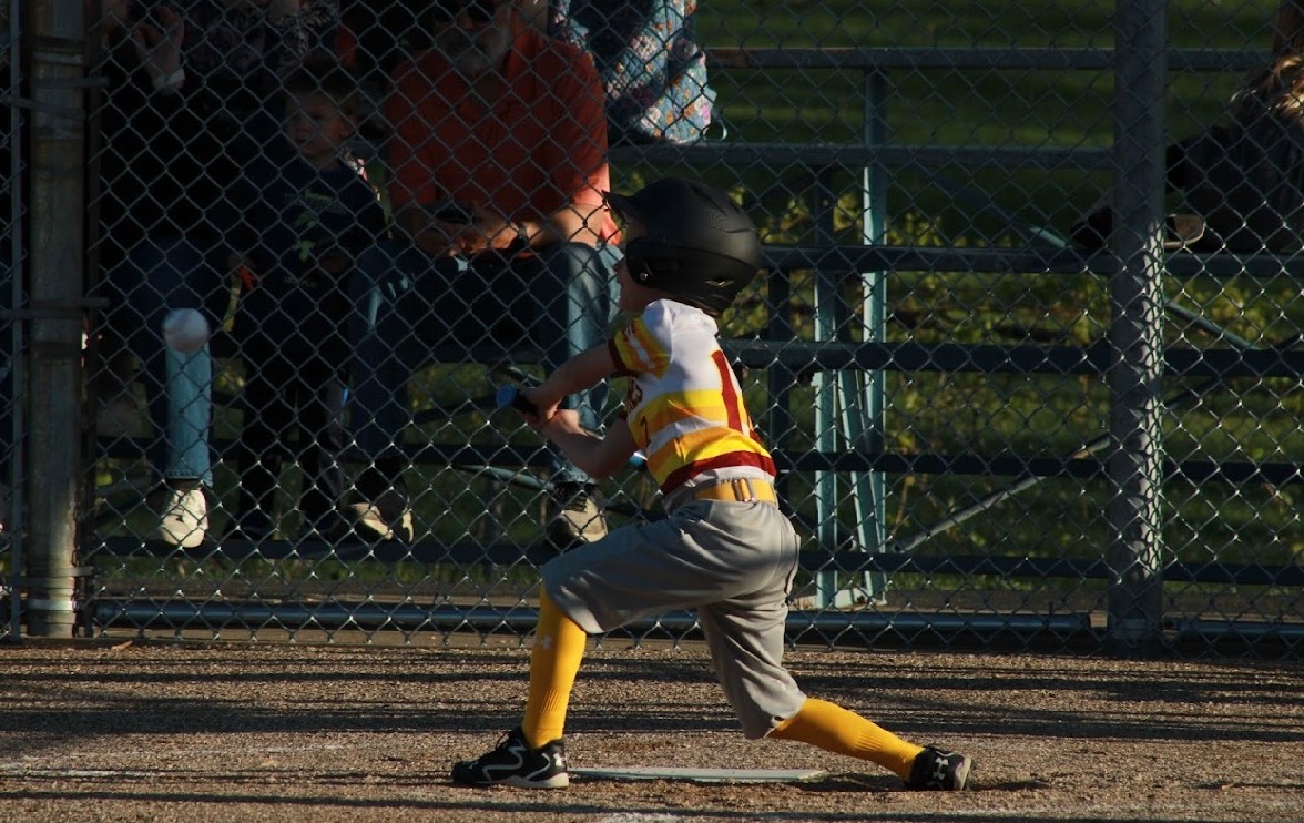 Amber.s.meyer+tps1@gmail.com