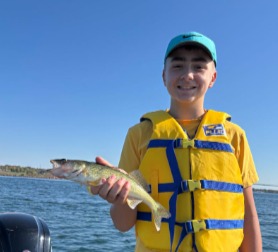 Payment.Dominique@gmail.com