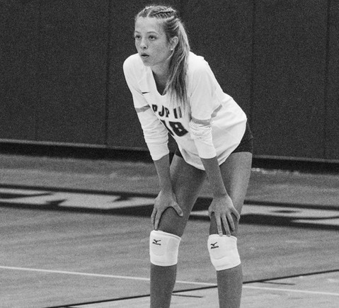 michellemay120+tps2@gmail.com