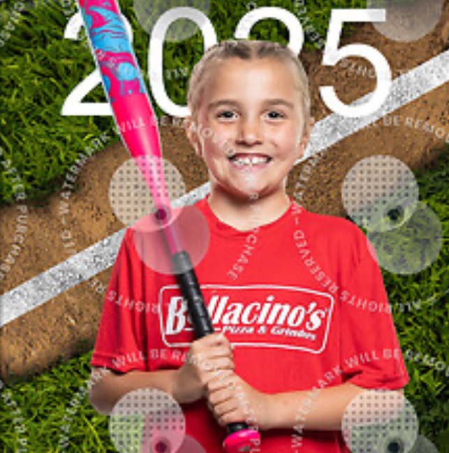 Andrewsheler17+tps2@gmail.com