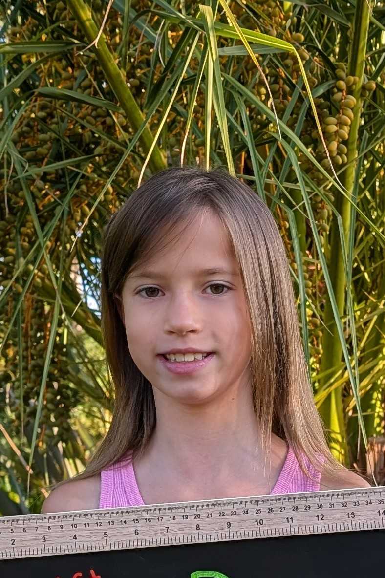 stef.swoboda+tps1@gmail.com