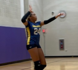 chelseashowell2030@gmail.com