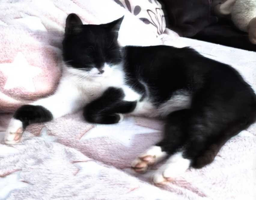 patriciaioanamarin2014@gmail.com