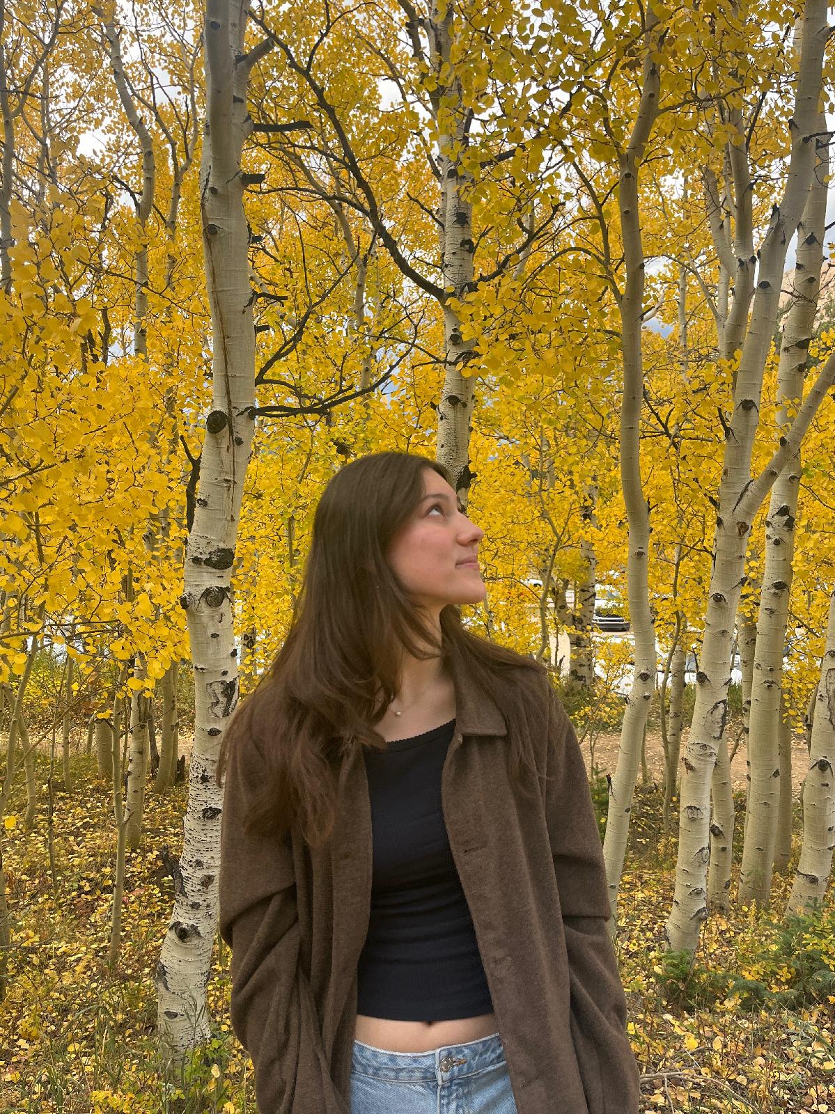 bettencaroline@gmail.com