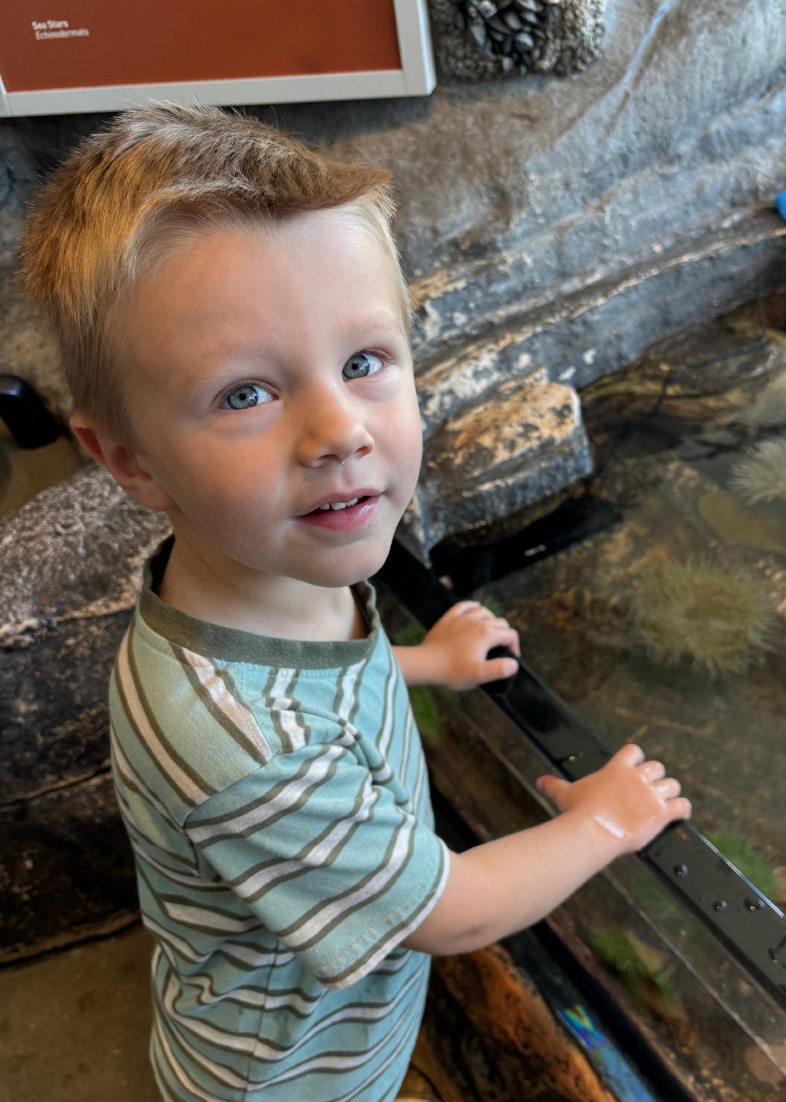 Kaylin.brown03+tps1@gmail.com