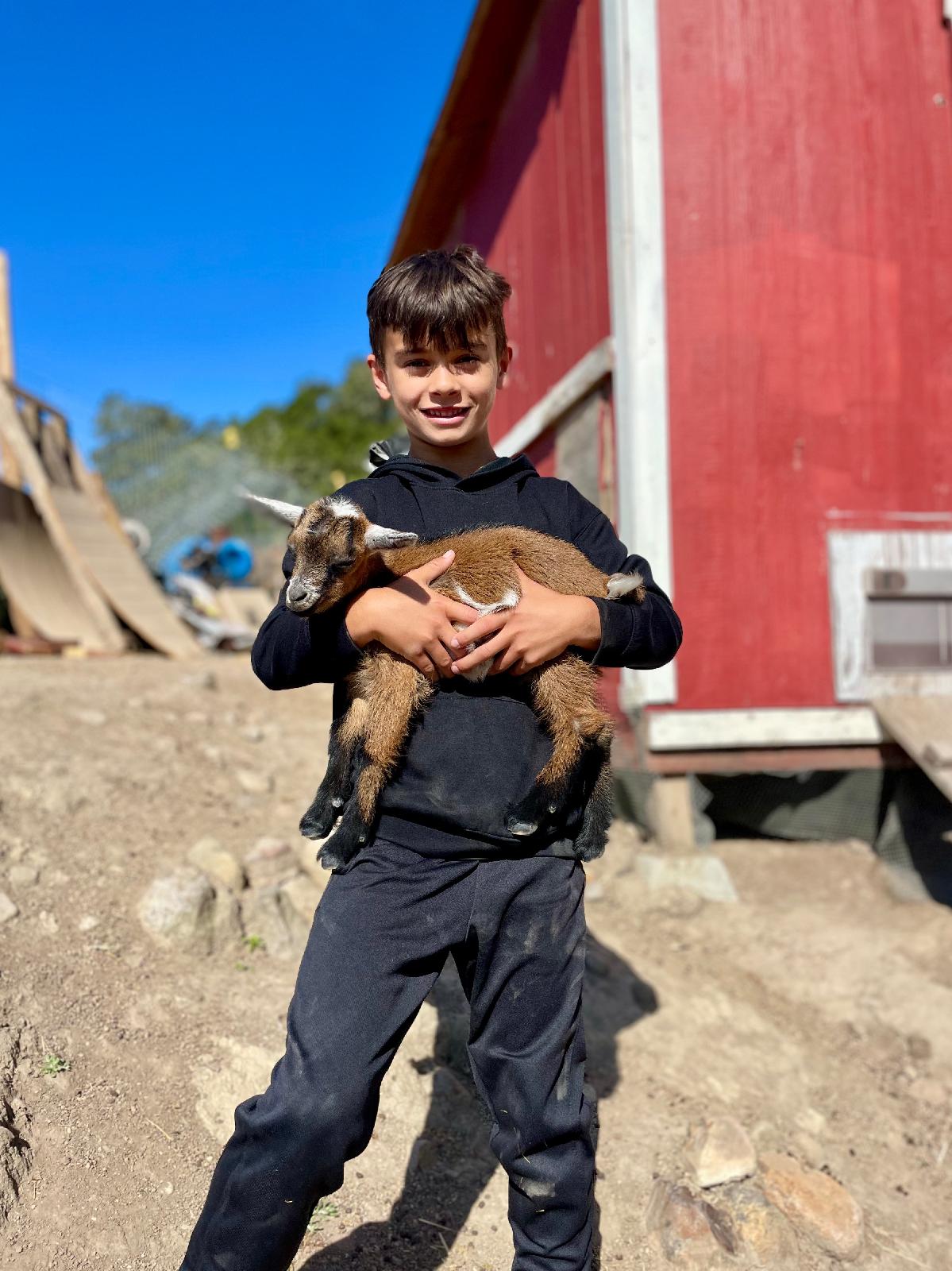 jenna.buhagiar+tps1@gmail.com