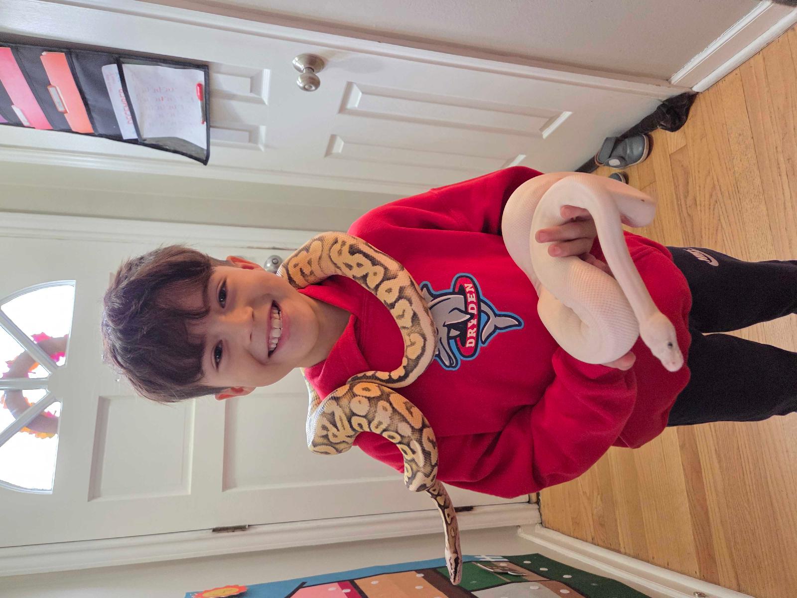 kalee.genis+tps1@gmail.com