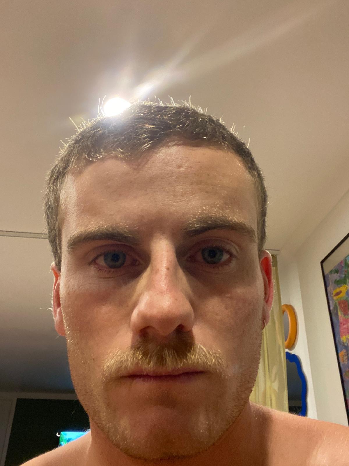 gillypybus@gmail.com