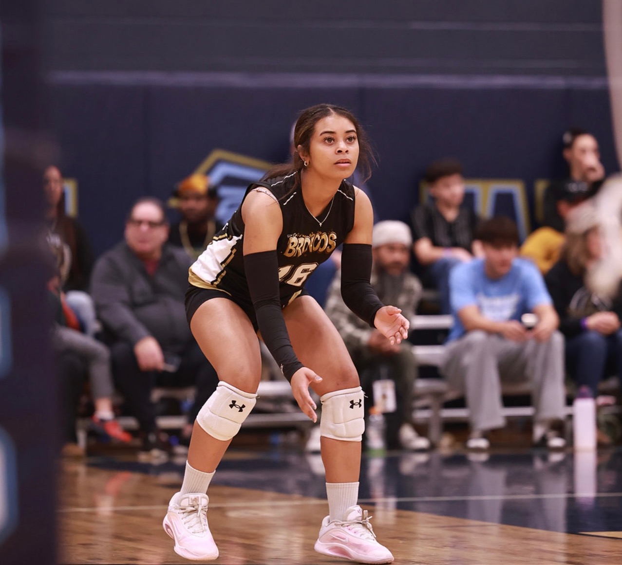 lanishastewart+tps1@outlook.com