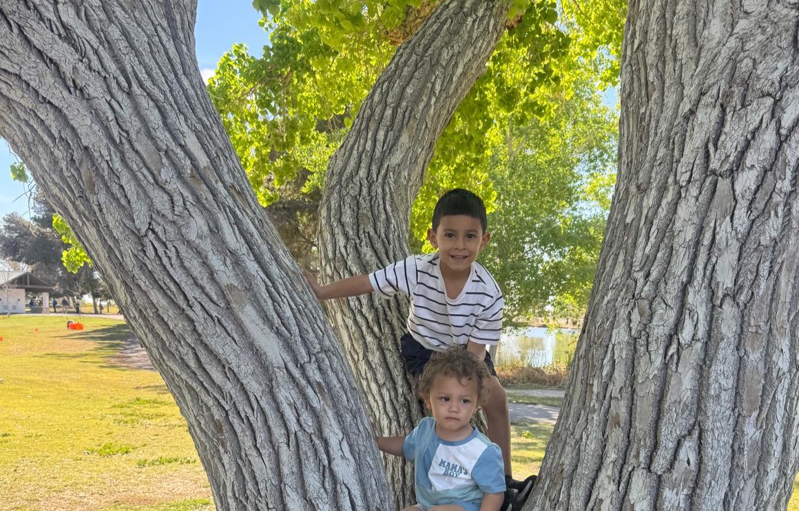 rcpag0120+tps2@icloud.com