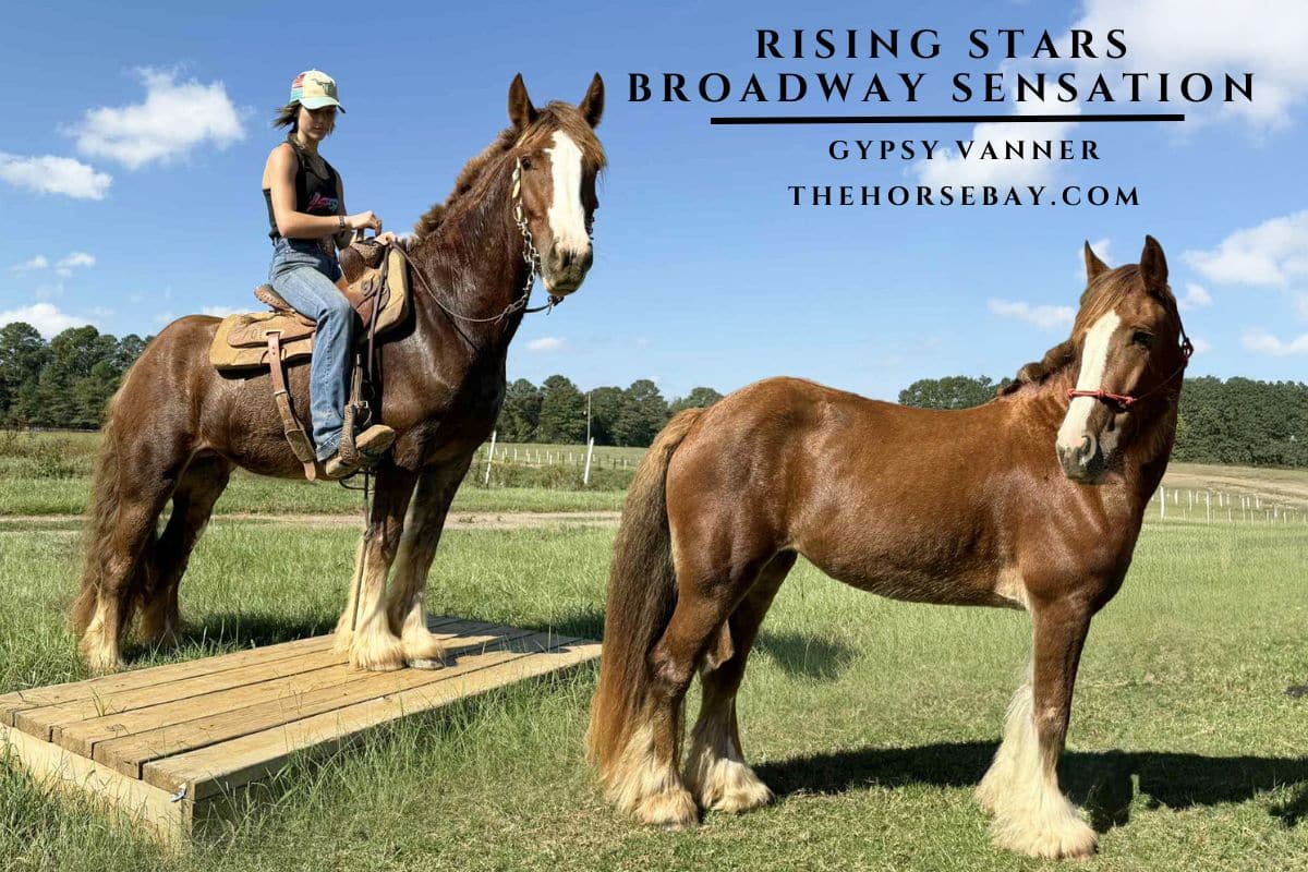 Rising Stars Broadway Sensation