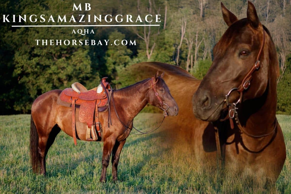 MB KINGSAMAZINGGRACE "Gracie"