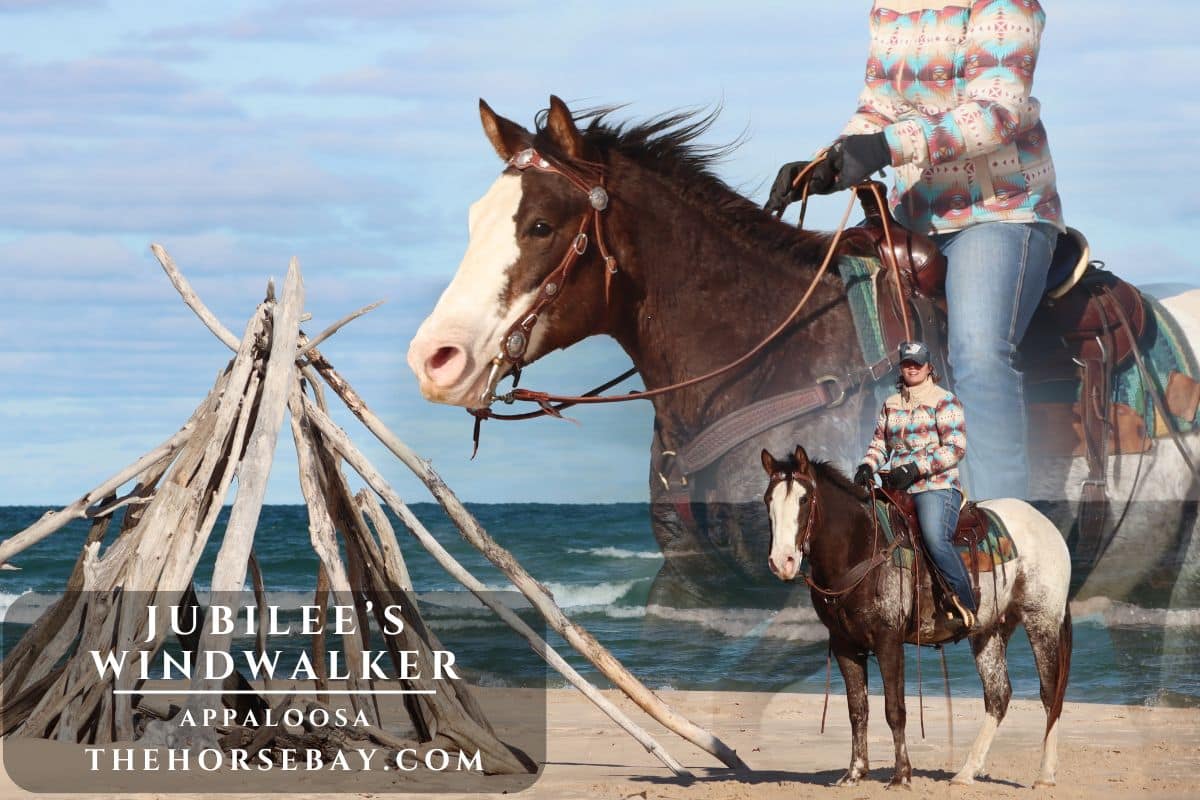 Jubilee's Windwalker