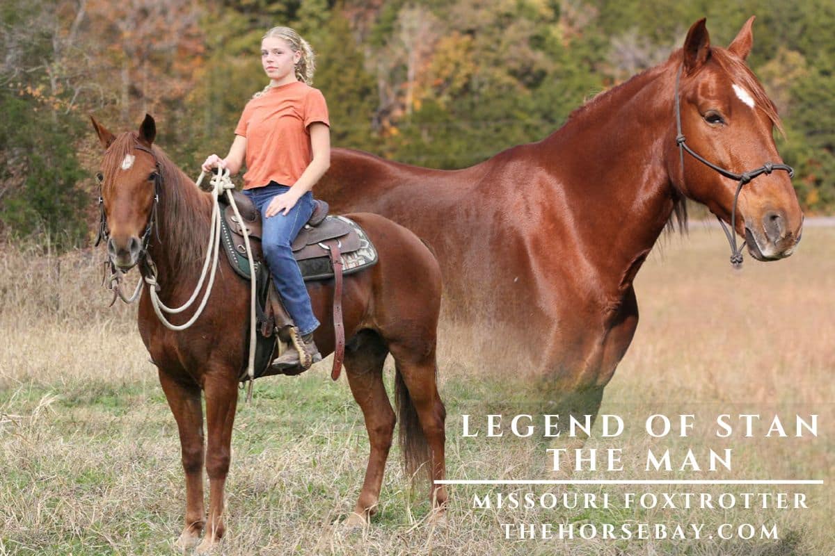Legend of Stan the Man