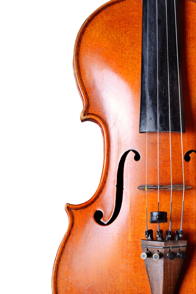 The viola emerges from the orchestra's shadows The Citizen