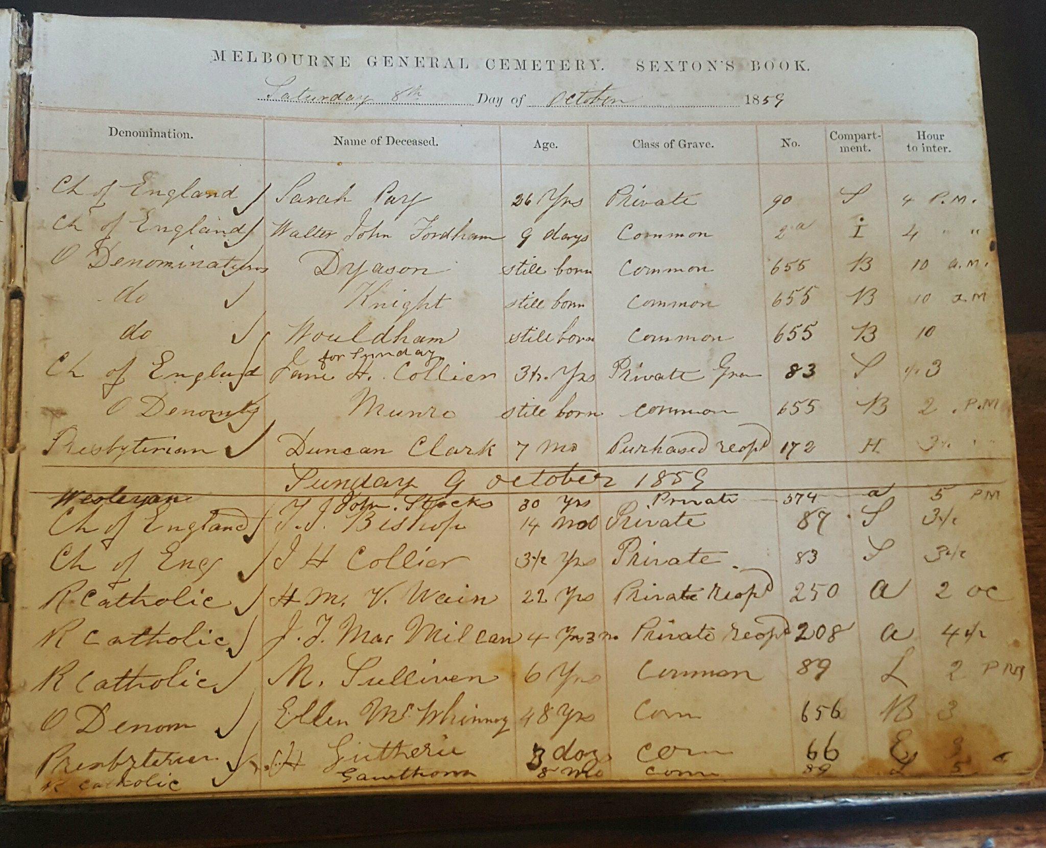 Tracing invisible connections from a young woman’s lonely grave