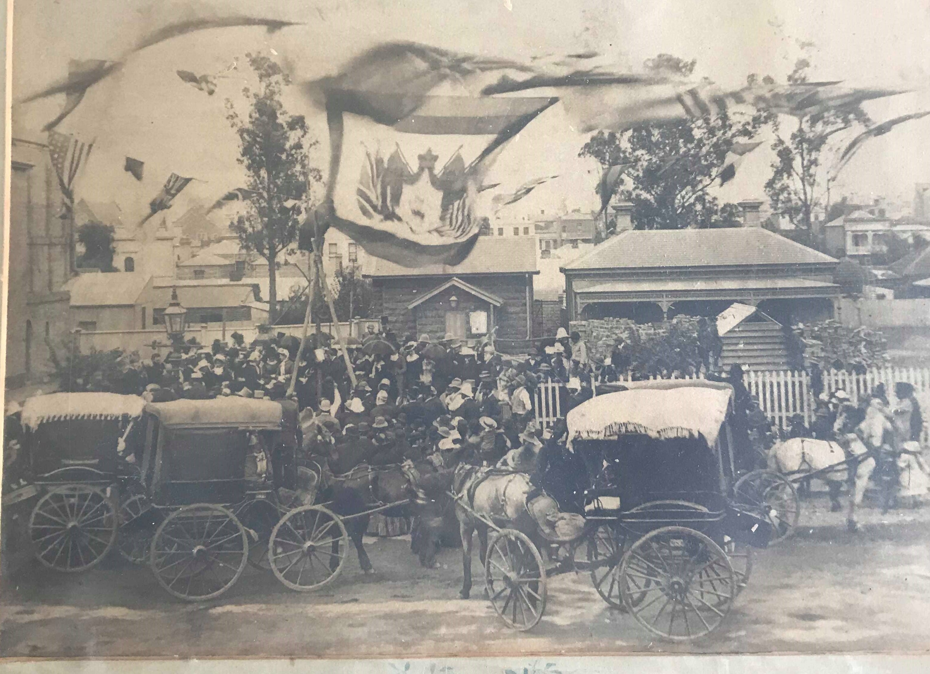 From the bleak soil of famished Ireland to growth in a new world