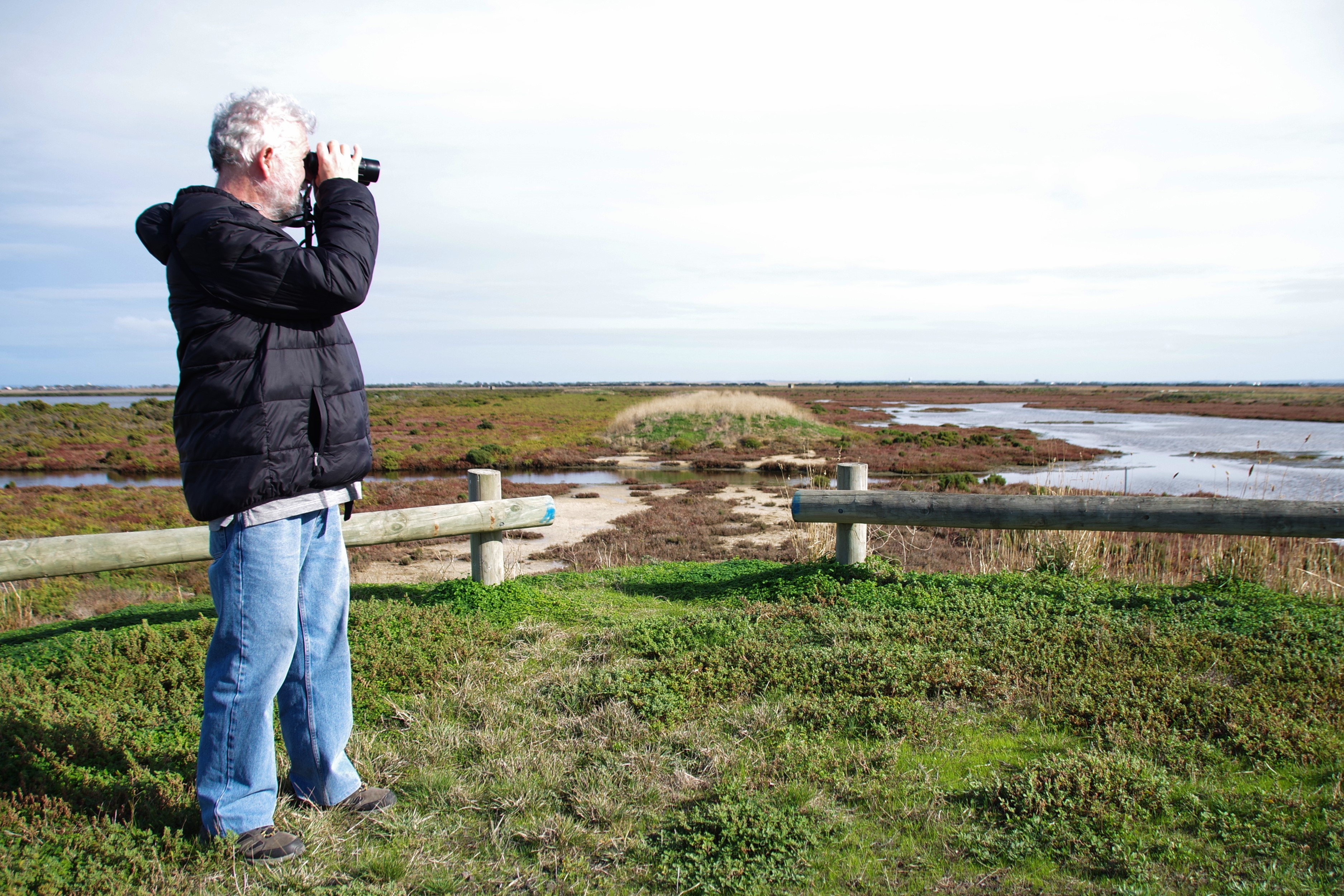 Wastewater treatment plant faces a future that can’t be flushed away