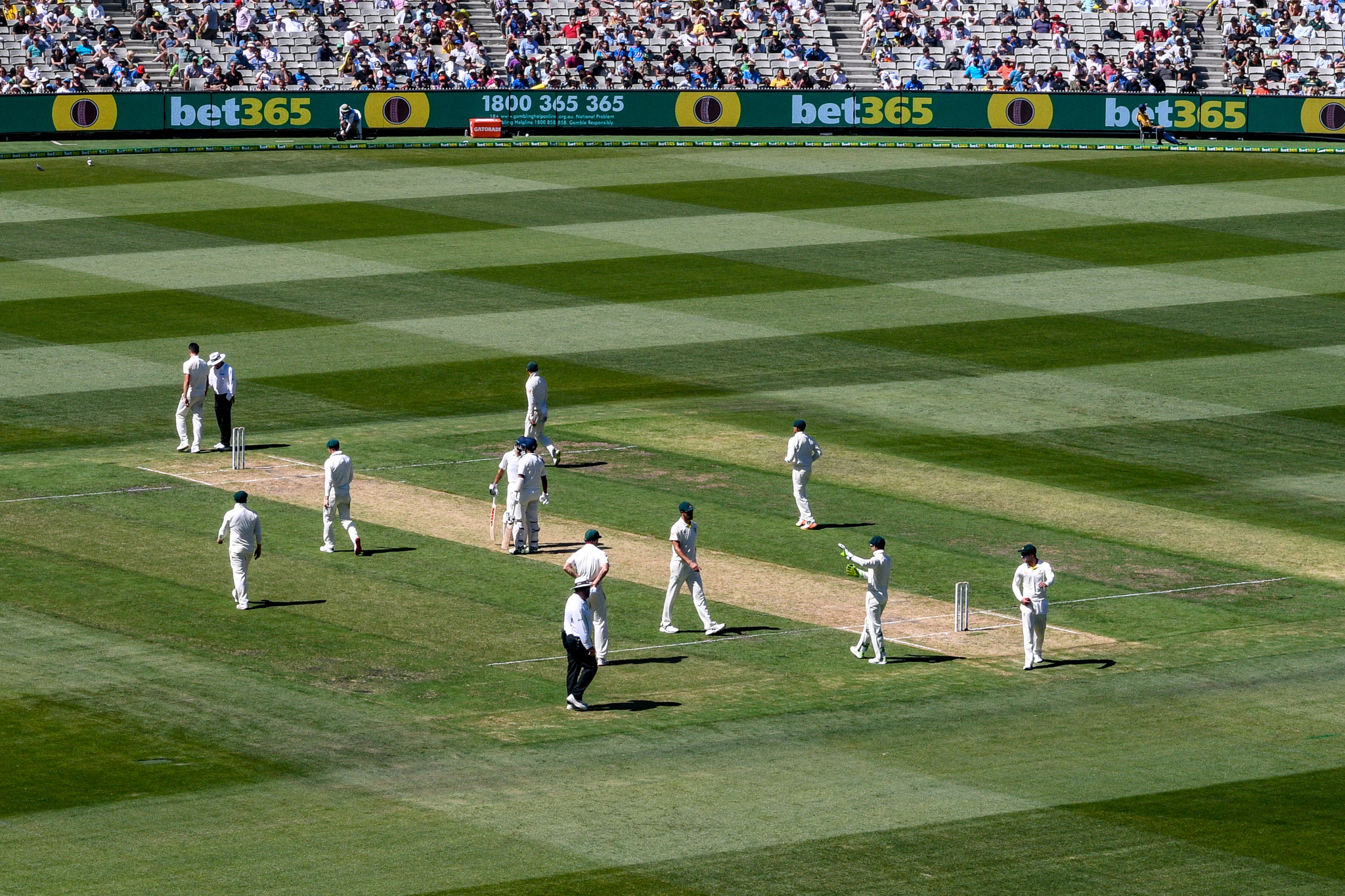 A Boxing Day slog, but not of the Twenty20 sort