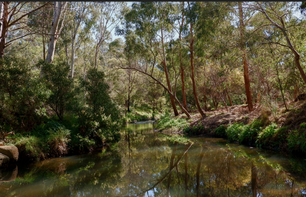 A clean, clear vision for Darebin Creek – just add people