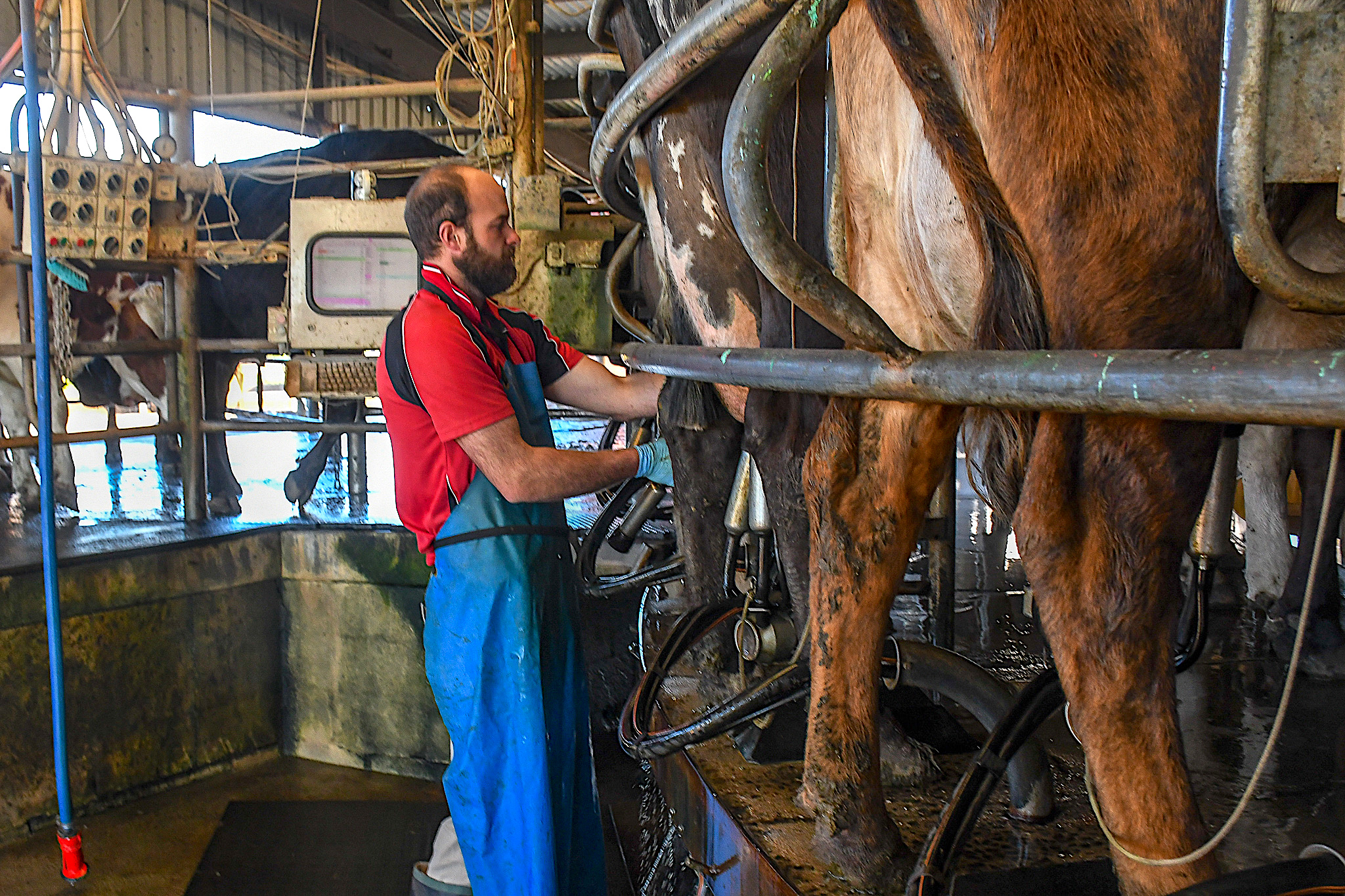Farmers move to weather a warmer future through regenerative farming