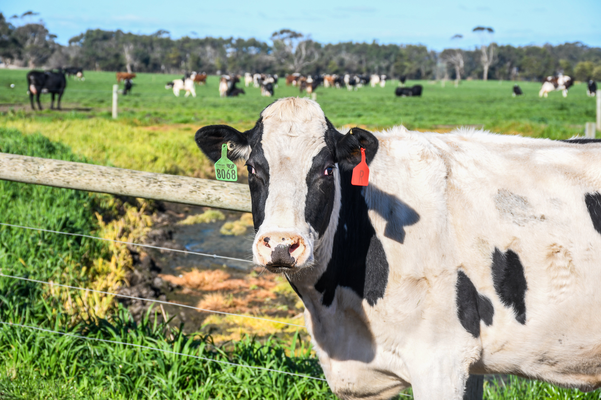 On the land, and staring down the barrel of climate change