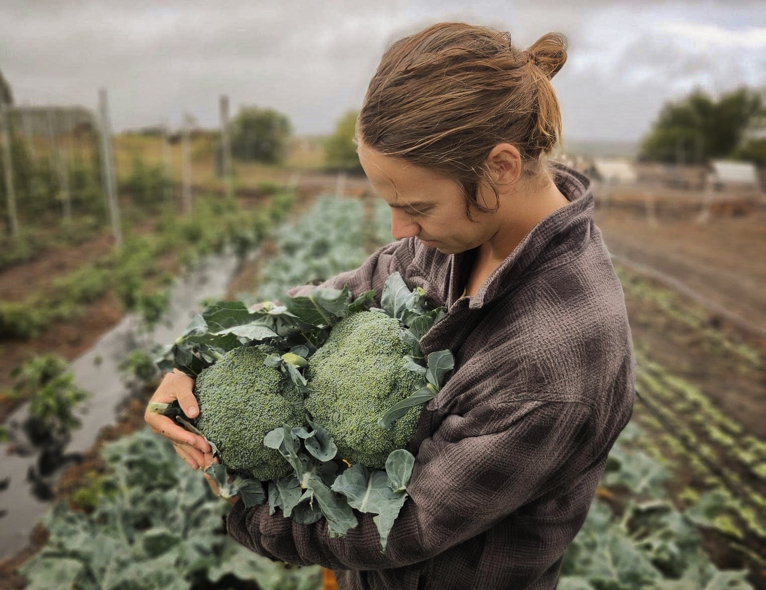 A young farmer heeds an old lesson, shifting his eggs out of one basket