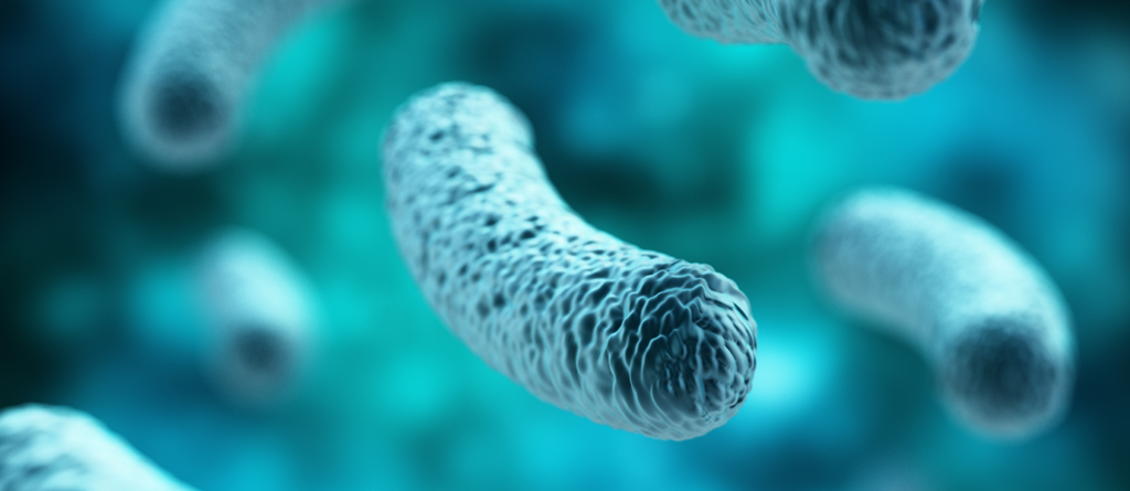 probiotic