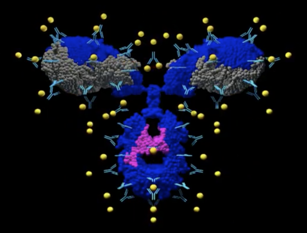 ArrayBridge Protein Conformational Array