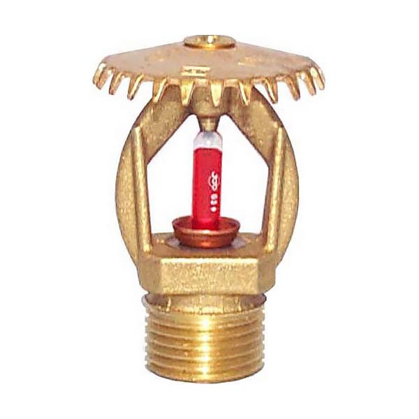 glotpr286br56t