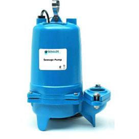 gouws0311bf