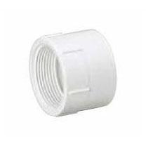P101 6" PVC DWV Female Adapter