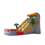 Inflatable Water Slides in Chicago