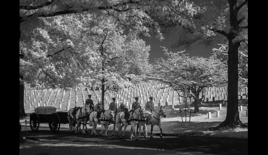 Arlington National Cemetery photographed with infrared light