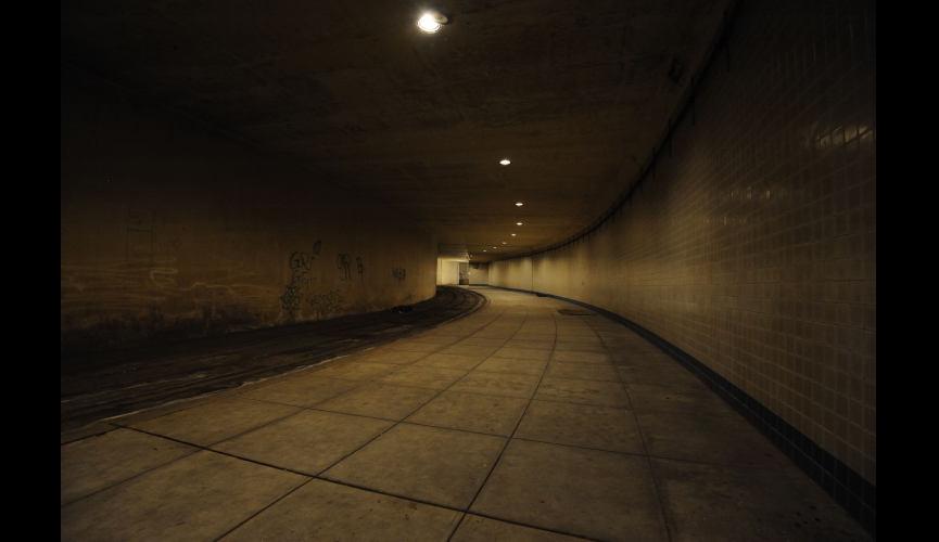 East Platform looking North