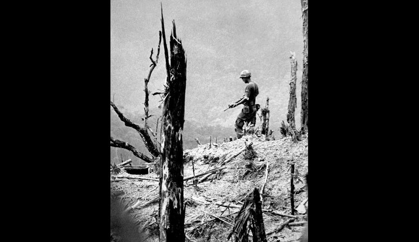 Lone Soldier on Devestated Vietnam Hill