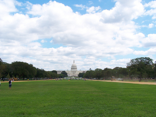 The National Mall in August.