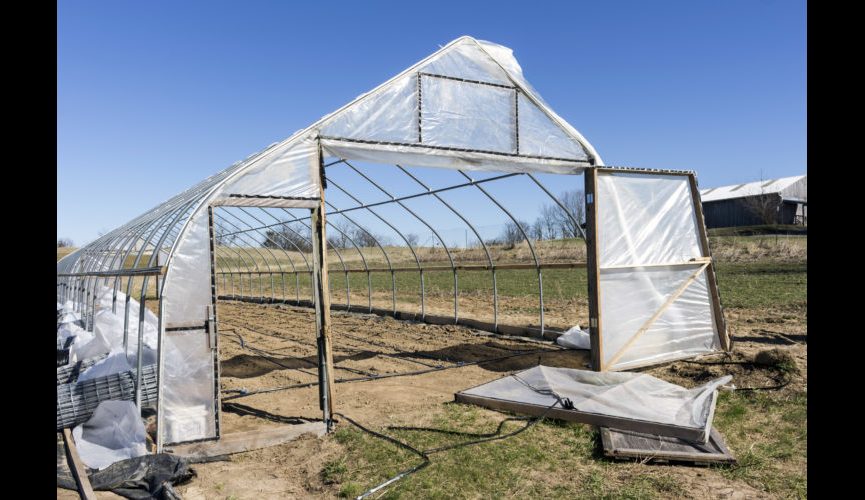 Wind_torn_greenhouse (1)