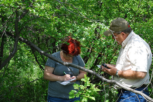 Two geocachers find a cache in Dupuyer, Montana.