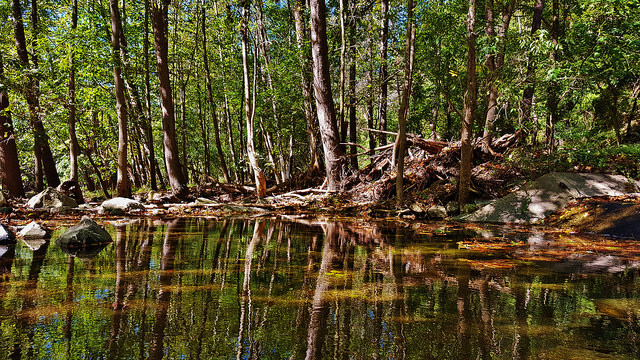 The Avalon Reflection Pool at Patapsco State Park in Baltimore, Md.