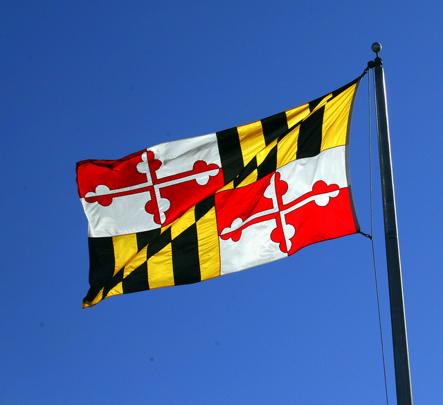 The Maryland Flag. 