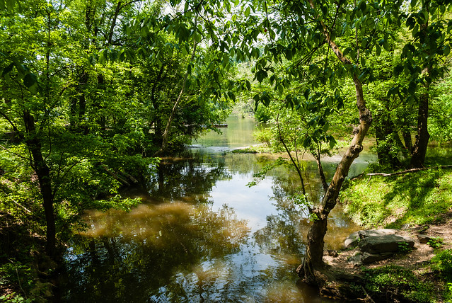 Visitors to Fletcher's Cove go fishing in Washington, D.C., on May 8, 2015. Shad is a top draw at Fletcher's Cove in the spring. 