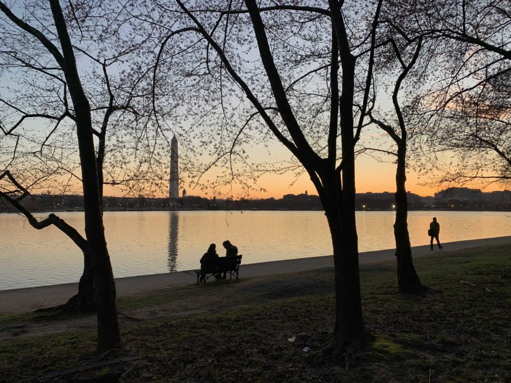 The Tidal Basin in Washington, D.C. receives 36 million visitors annually. Flooding and foot traffic are taking their toll on the historic site.