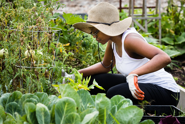 East Capitol Urban Farm in Washington, D.C.