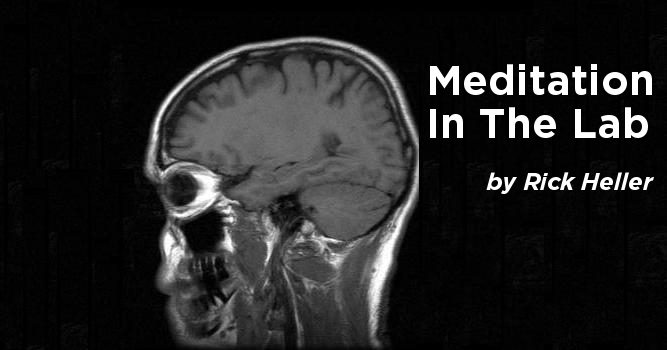 Meditation in the Lab