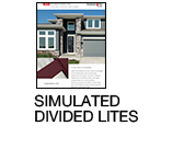 flyer 1