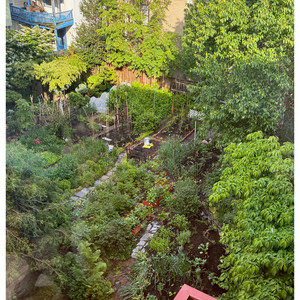 11277 garden %281%29