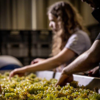 Château La Genestière Winemaker Christian Latouche